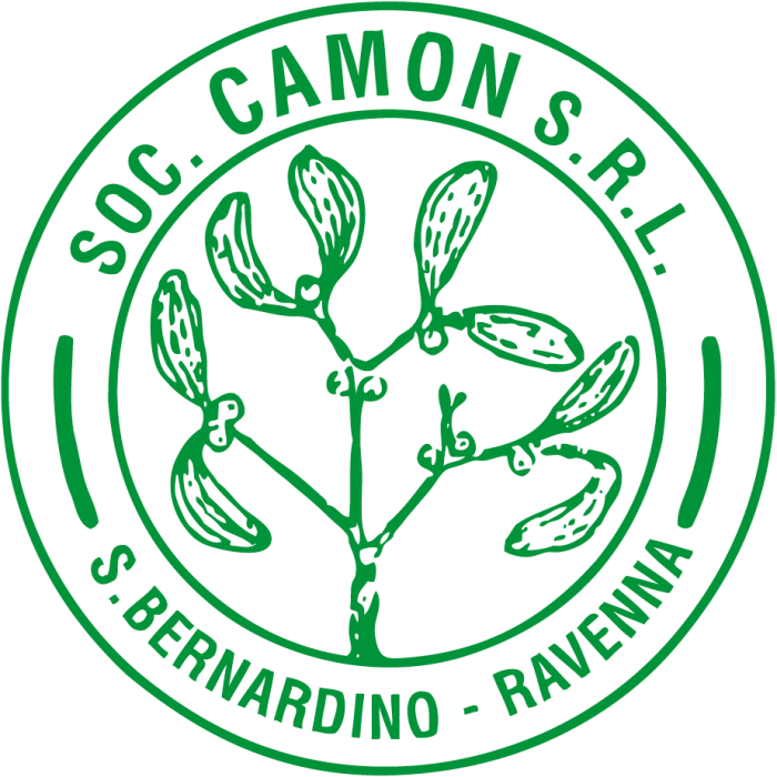 Il primo logo di CAMON Srl